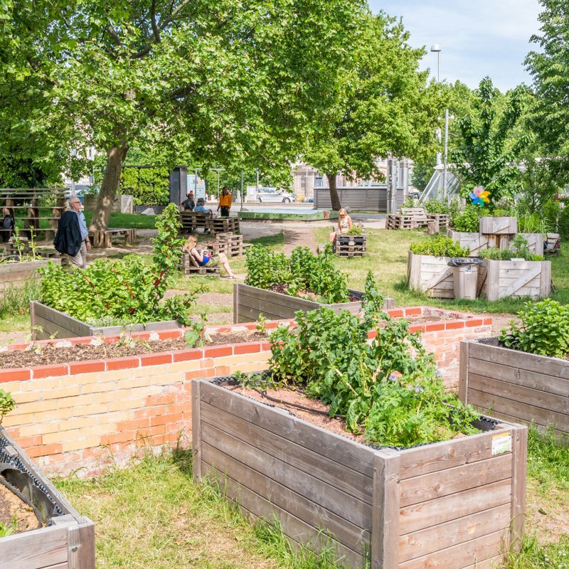 Vienna, Austria - May 23, 2016: People in Karlsgarten, research garden for urban agriculture on Karlsplatz in Vienna, Austria