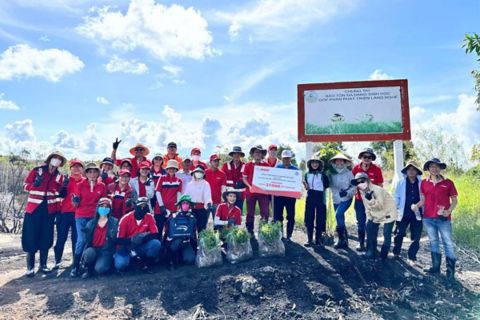 insee-handover-37k-trees-to-phu-my-nr-in-2024.jpg