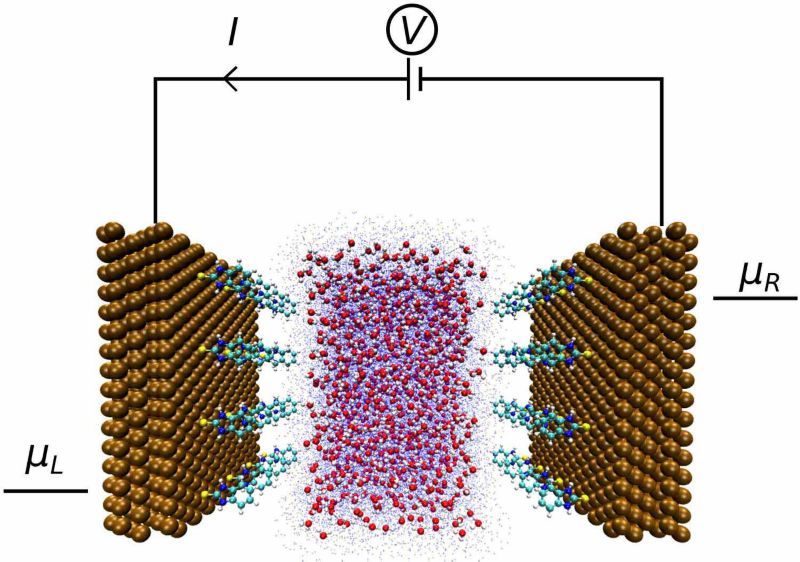Figure 1: A sketch of a solvated Cu (111) device with an absorbed monolayer of mercaptobenzimidazole (MBI) under a bias. The ochre-, yellow-, blue-, cyan-, red-, and white-coloured atoms represent Cu, S, N, C, O, and H atoms, respectively.