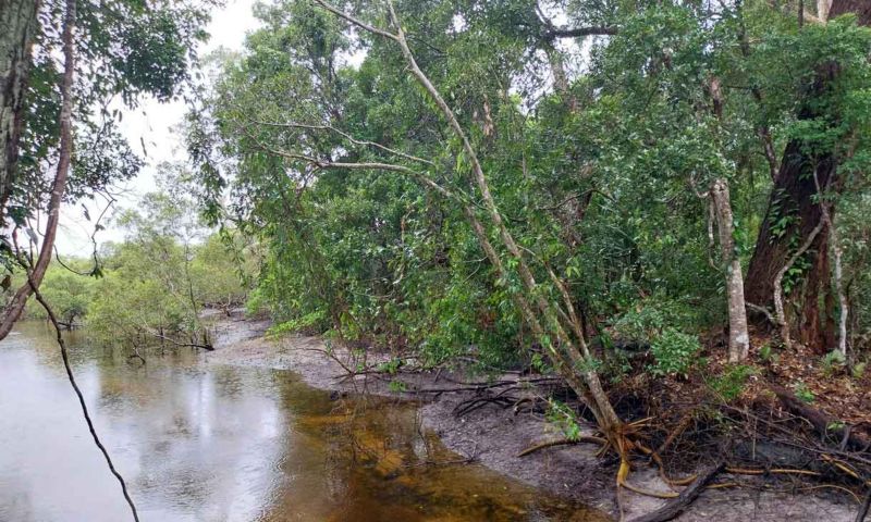 North Stradbroke Island, 2024, Image courtesy of Pratyay Raha