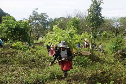 local-people-join-the-project.jpg