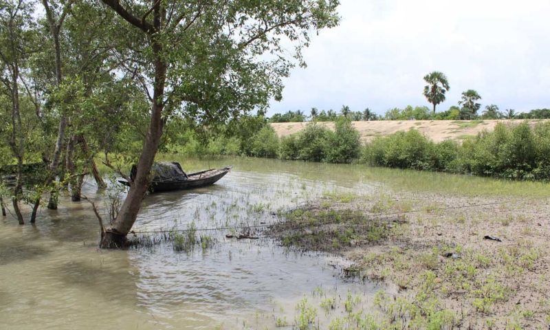 Sundarbans, 2026, Image courtesy of Pratyay Raha