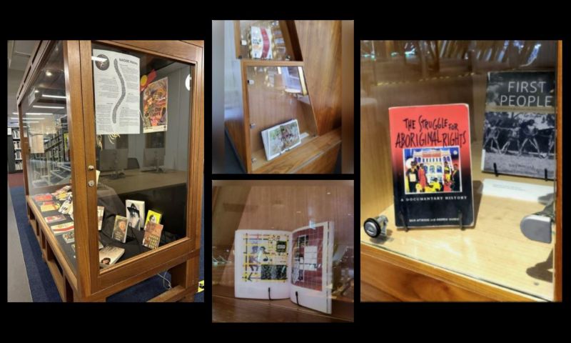 Photo of a display case with books and posters.