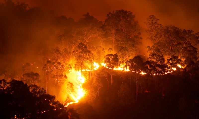 Bushfire at night