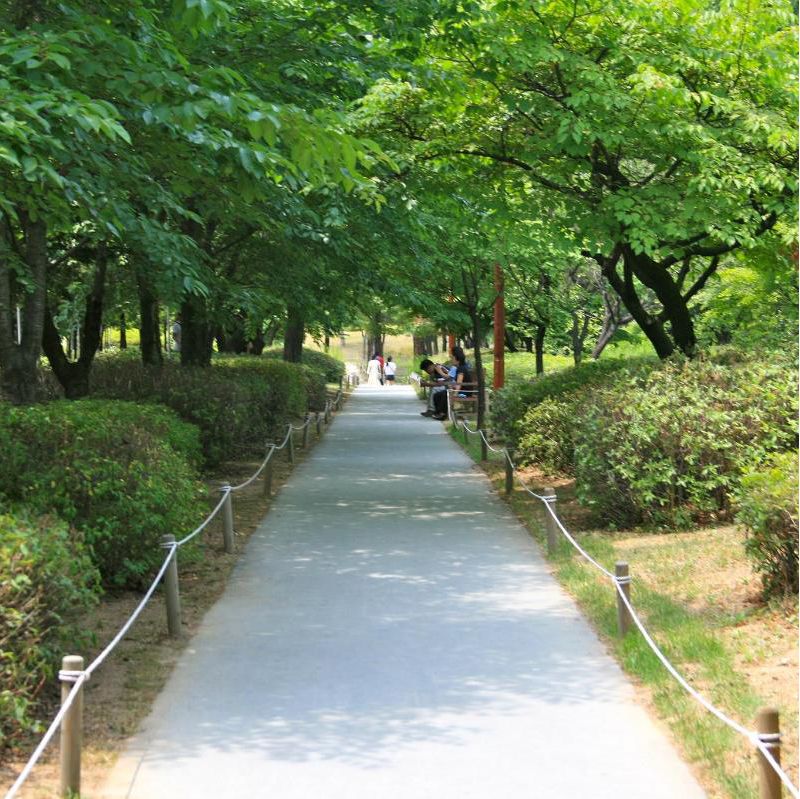path-park-trees.jpg