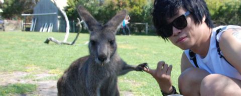 phillip-island.jpeg