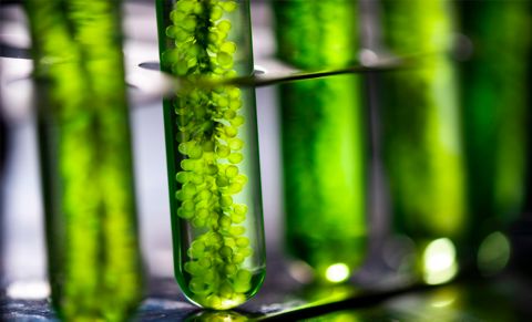 Researching with test tubes.