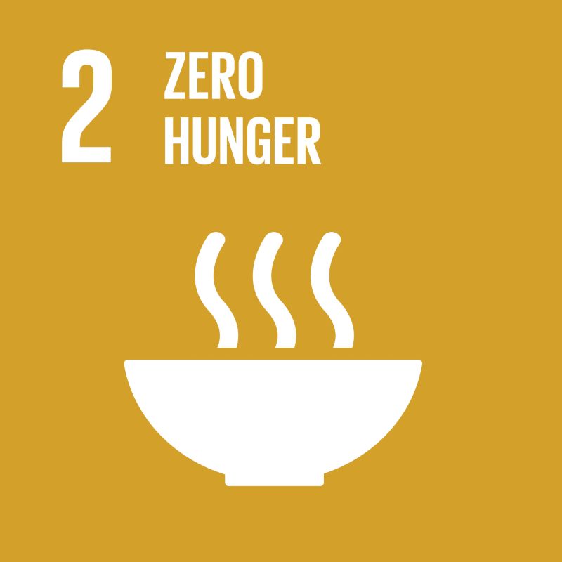 sustainable development goal 2 icon zero hunger
