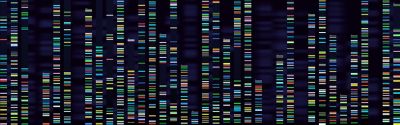 Genomic analysis visualisation. Dna genomes sequencing, deoxyribonucleic acid genetic map and genome sequence analyze. Bioinformatics forensics data or dna radiographic testing vector concept