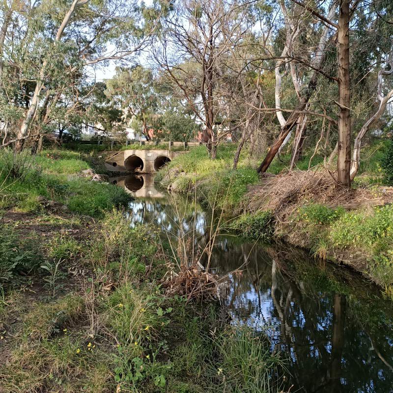 Stony Creek Contaminant Review - RMIT University