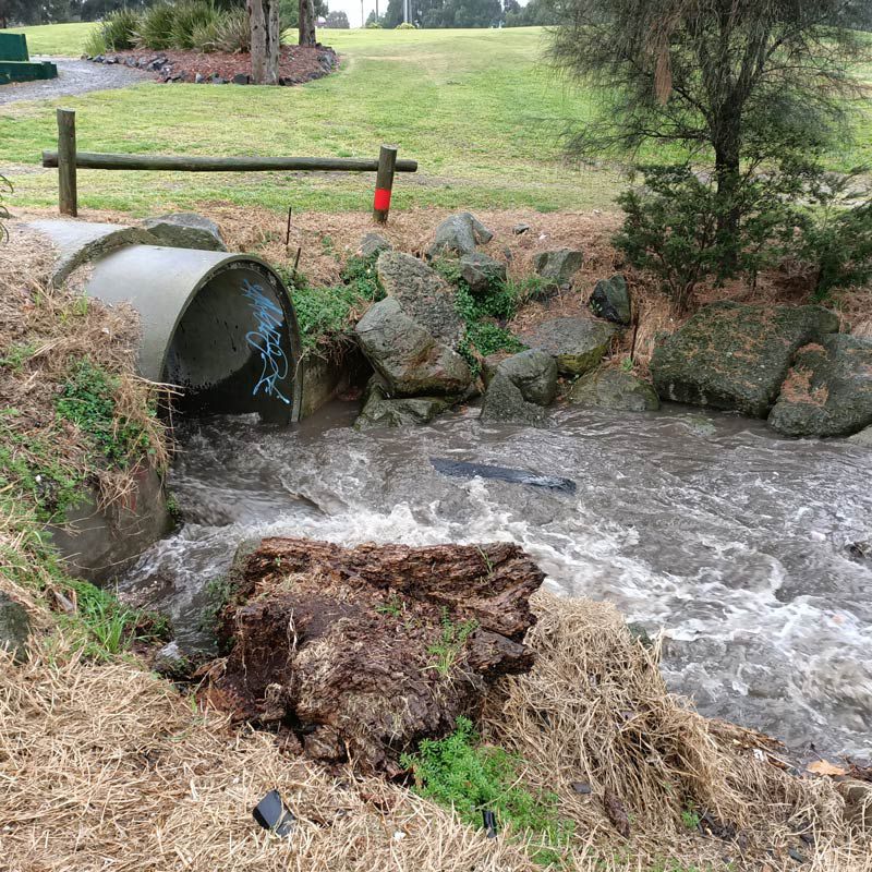 Photo of a Stony Creek stormwater drain. Water is coming out of the drain rapidly. Photo appears to be from a park. Background has large, open grassed space with trees in the distance. There's a gravel path and small native plant display to the left. Floating in the middle of the water flow is a black mesh bag. Inside the stormwater drain is some blue graffiti that is indiscernable.