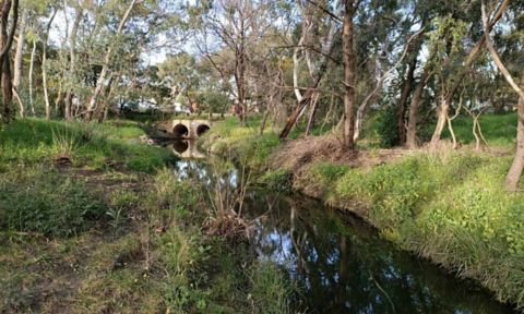 Photo of Stony Creek. In the background is a raised road. Under the road is concrete with two circles cut out to allow the creek to flow through. River runs from the bottom right of the photo up to the middle. Green grass with intermittent patches of dirt take up the rest of the photo, as well as trees. Most of the trees are barren branches, with some trees showing dark green leafage.