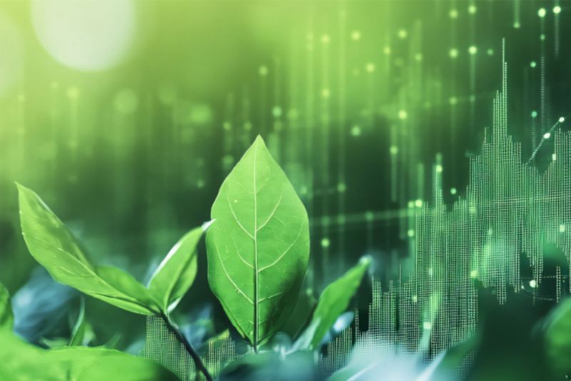 Sustainable Development​