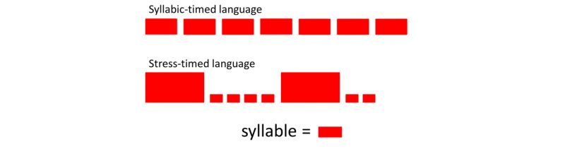 syllabic vs stress timed language