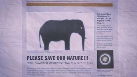  Thumbnail from Safari film