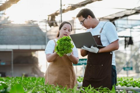 thumbnail-portrait-asian-farmer-man-woman-working-with-laptop-organic-vegetable-hydroponic-farm-hydroponic-salad-garden-owner-checking-quality-vegetable-greenhouse-plantation.jpg