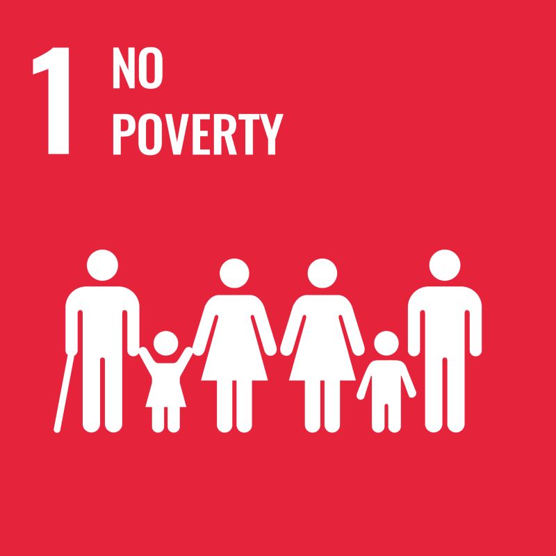 un development goal 1