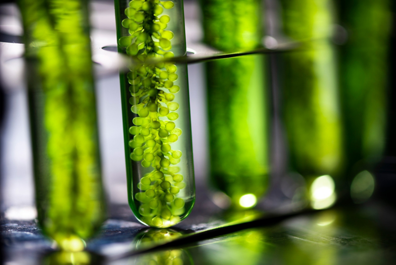 Test tubes with green inside
