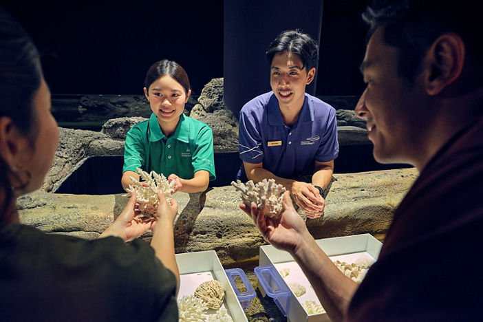 Docent Programme Recruitment Drive​
