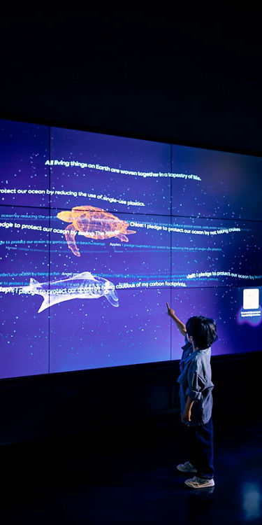 动物与栖息地| 新加坡海洋生态馆