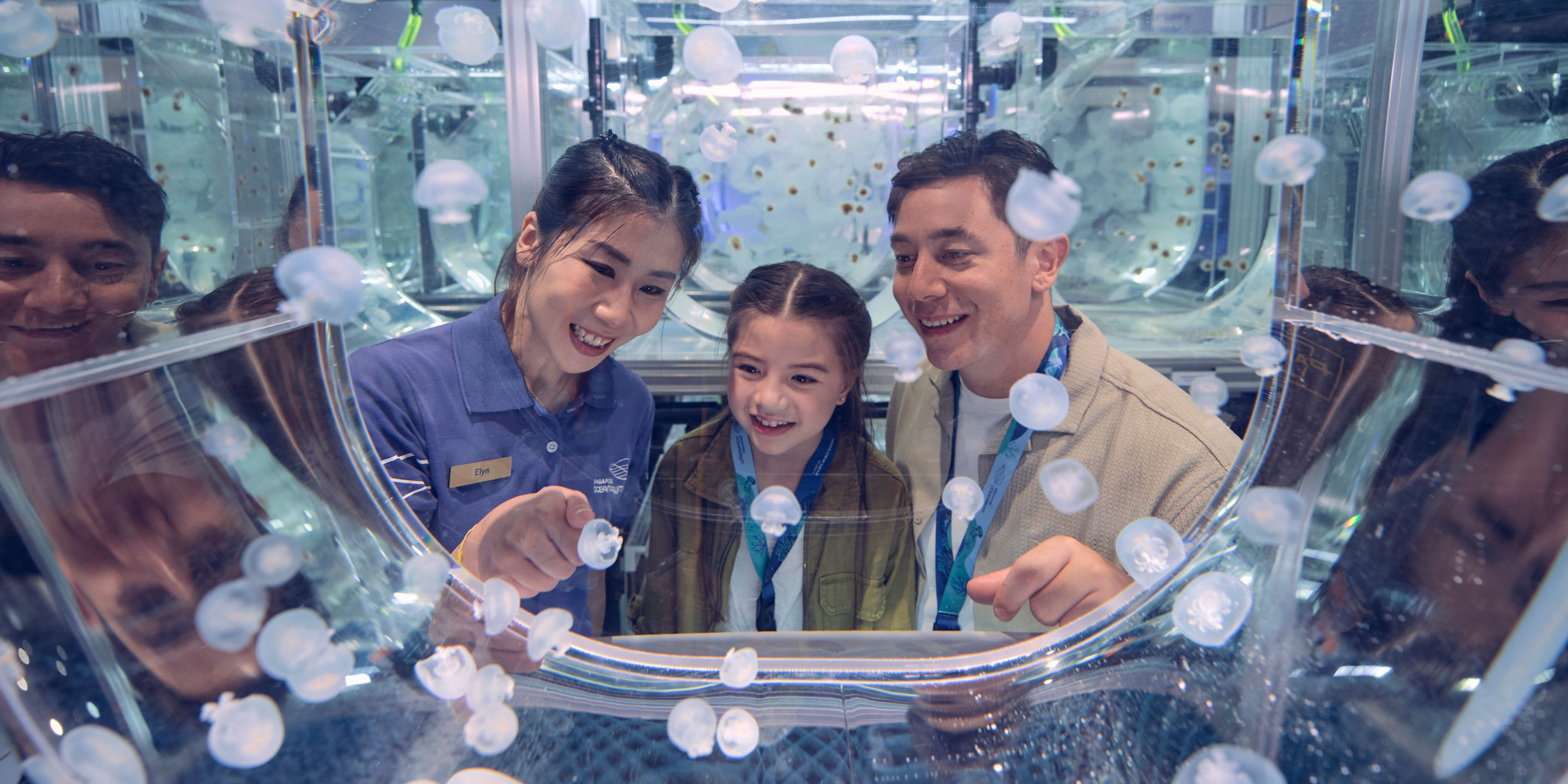 Animal Spotlight: Sea Jellies | Singapore Oceanarium