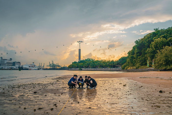 Love the Ocean? Become a Citizen Scientist. 