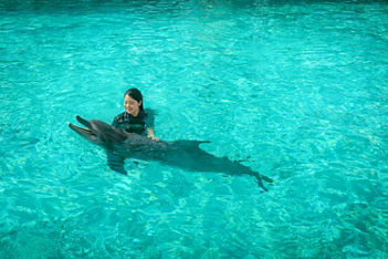 Dolphin Exploration | Singapore Oceanarium