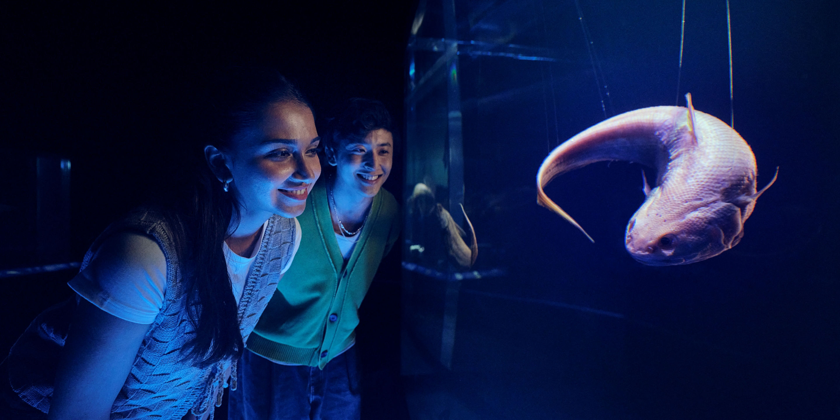 白色背景中突显的带绿色粘液的矢量图绿色僵尸眼。矢量图3d可怕的怪物僵尸眼png剪贴画插图。万圣节设计外星人惊悚眼球库存矢量图（免版税）2662177991  | Shutterstock, image size:2880x1440