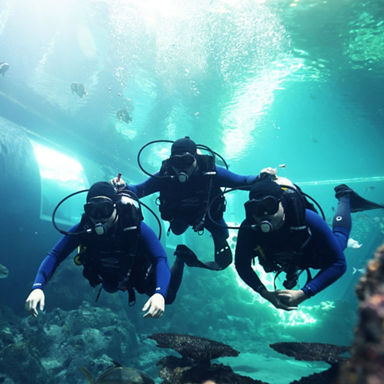 PADI Discover Scuba Diving Programme