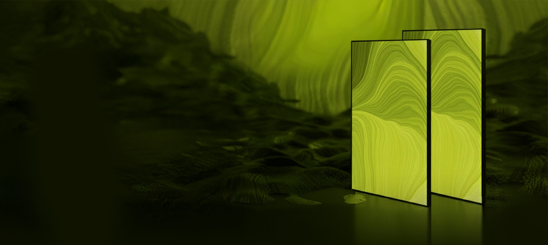 Special Dipsplay Front view