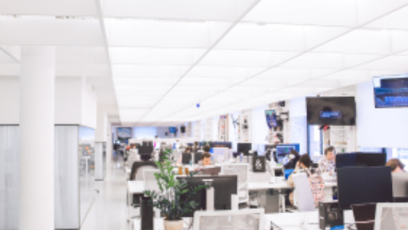 Open-plan office with modular overhead lighting, showing customizable LED installation for indoor environments.