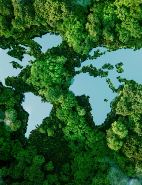 green forest canopy with reflective blue water patches