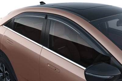 Door Visor With Carbon Fiber Insert Curvv