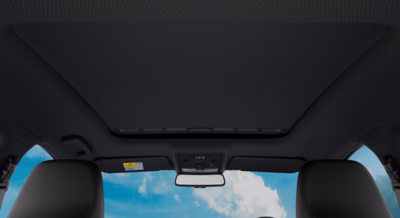 Panoramic Sunroof 