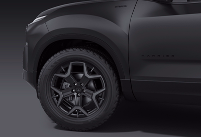 19” Matte Black Alloy Wheels