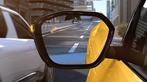 Blind Spot Detection
