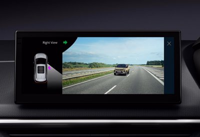 Blind View Monitor (BVM)