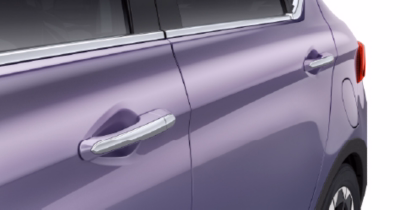 Chrome Door Handles