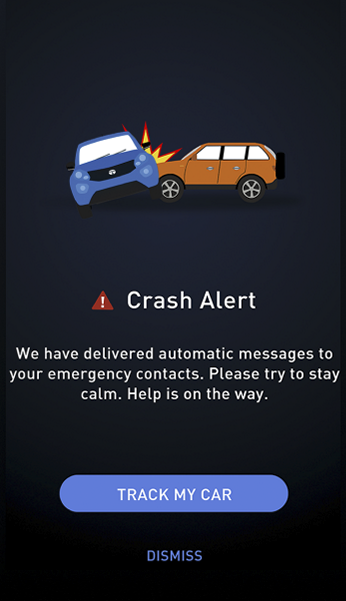 Crash Alert