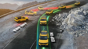 Electronic Stabilty Program (ESP) with 21 Features