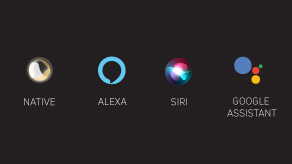 Multiple Voice Assistants (Native,Siri,Google Assistant)™
