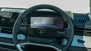 Screen Guard – Steering Wheel
