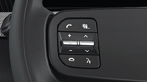 Steering Mounted Controls