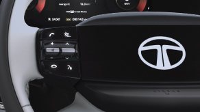 Steering Mounted Controls