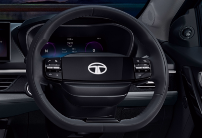 2-Spoke Steering Wheel with Illuminated Logo