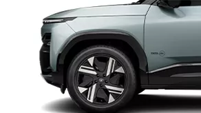R19 Alloys