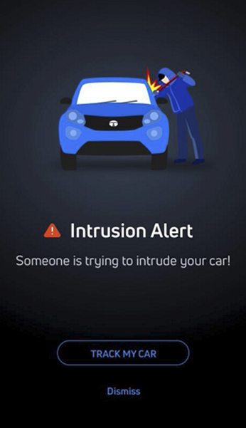 Intrusion Alert