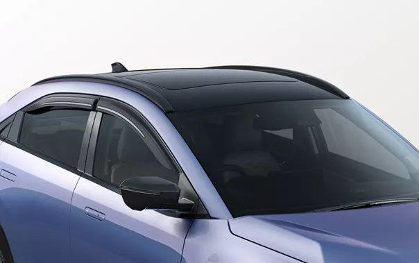 Roof Rail Piano Black Curvv.ev
