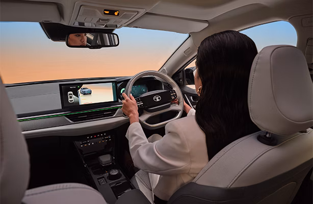 Blind Spot View Monitor in Cluster or Infotainment(BSM) - Camera based