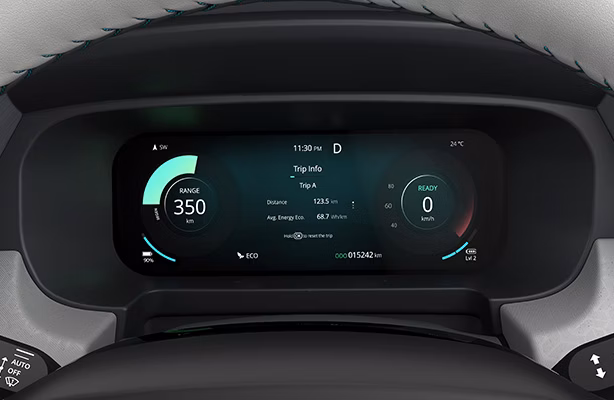 26.03 cm Digital Cockpit